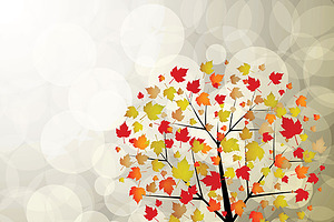 Autumn garden