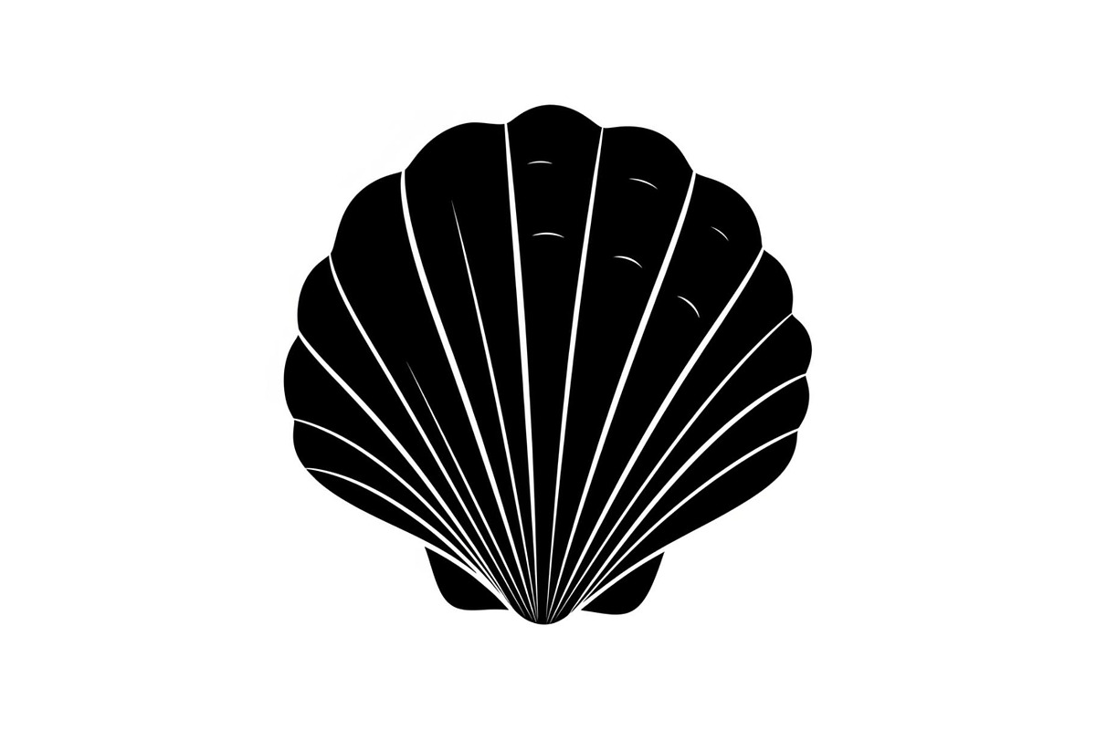 Shell Silhouette Vector Bundle, an Illustration by hafijul (Photo 37 of 48)
