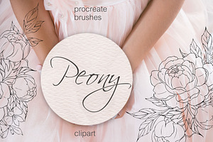 Peony Procreate Stamps, Cliparts