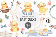 Baby Ducks watercolor set, an Animal Illustration by Estudio 812 (Thumbnail 1 of 8)