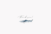 Watercolor Sharks. Ocean animals set, an Animal Illustration by Diana Askarova Art (Thumbnail 9 of 9)