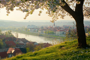 Springtime view from the hilltop in, a Photo by Iftikhar Alam