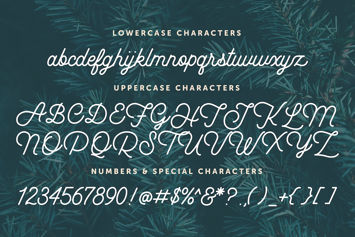 Yuletide Monoline Script, a Script Font by Freshly Made Type (Photo 9 of 9)