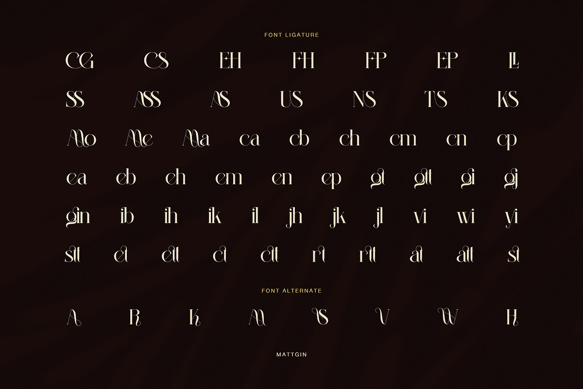 Mattgin Elegant Serif Font, a Serif Font by Perfectype (Photo 8 of 8)