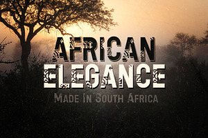 African Elegance Display Type