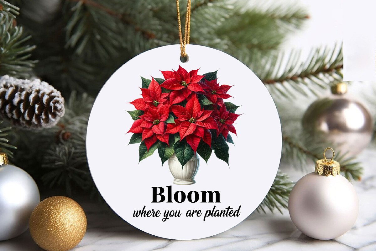 Christmas Poinsettia Flower PNG Clip, an Illustration by RobertsArt (Photo 4 of 5)
