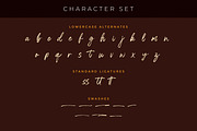 The Rolleta - Handbrush Signature, a Script Font by Almarkhatype (Thumbnail 11 of 11)