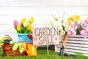Spring Garden sale background, a Holiday Photo by Rimma