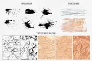 Herbarium Master Collection, a Decorative Illustration by AlexGreenArt (Thumbnail 10 of 12)