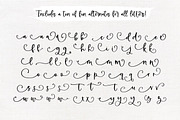 Farmland Acres | Script Font Duo, a Script Font by KA Designs (Thumbnail 27 of 31)