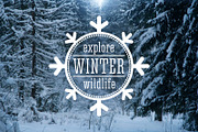Winter forest landscape, an Illustration by Countryside life (Thumbnail 7 of 7)