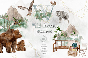 Wild Forest Stories