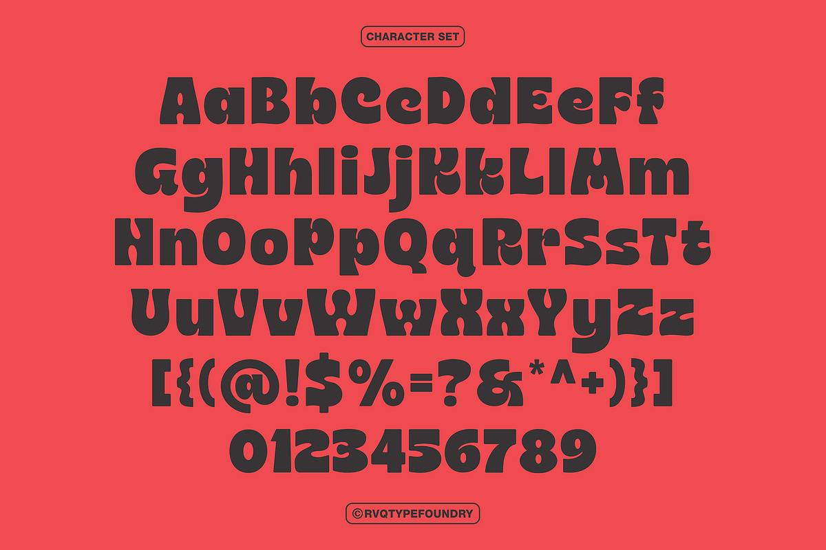 Champion is Bold, a Sans Serif Font by Rvq Type Foundry (Photo 3 of 7)