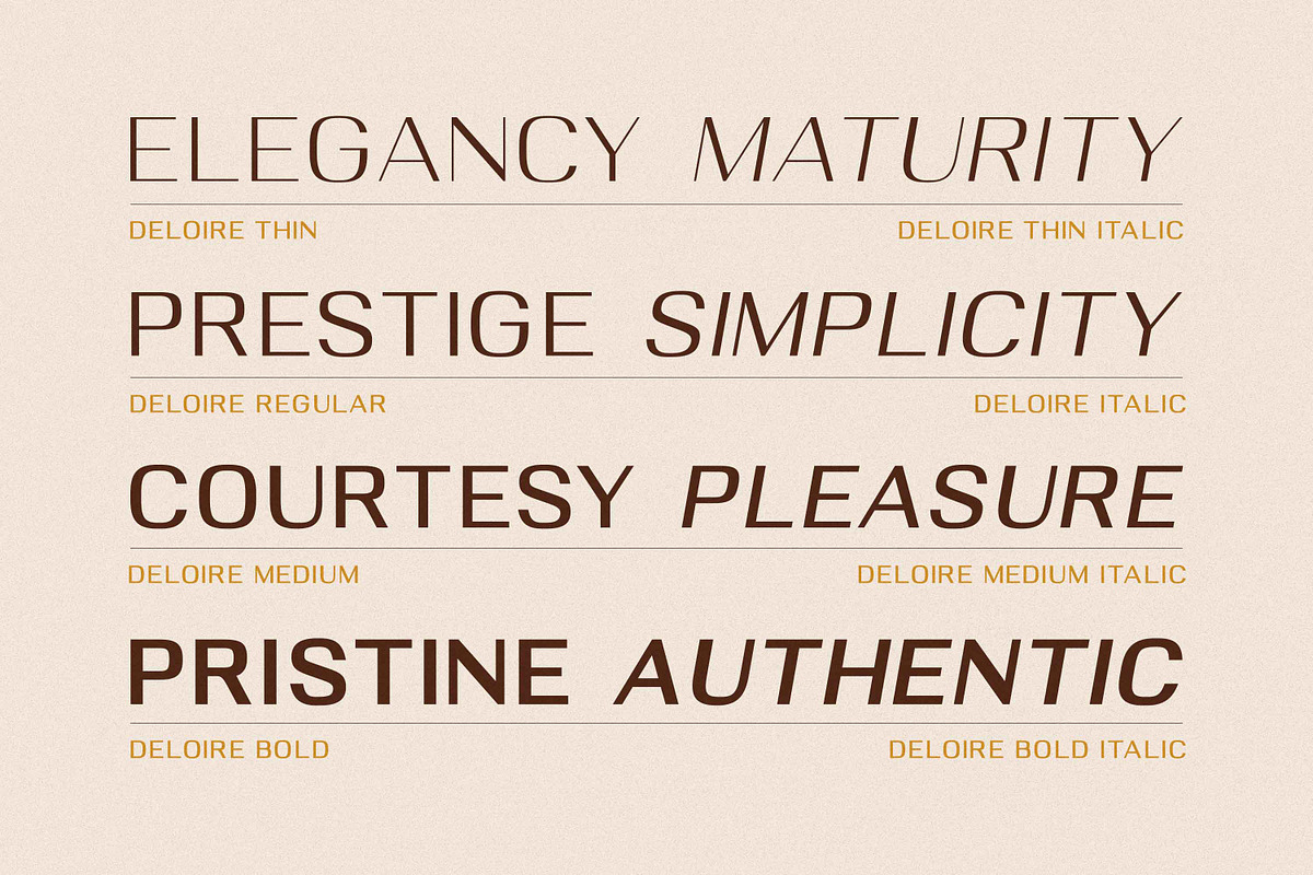DELOIRE - Modern & Luxury Sans, a Sans Serif Font by Almarkhatype (Photo 7 of 10)