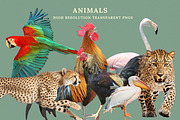 Viva Mexico Collage Creator, a Graphic by Paper Flowers Studio (Thumbnail 6 of 8)