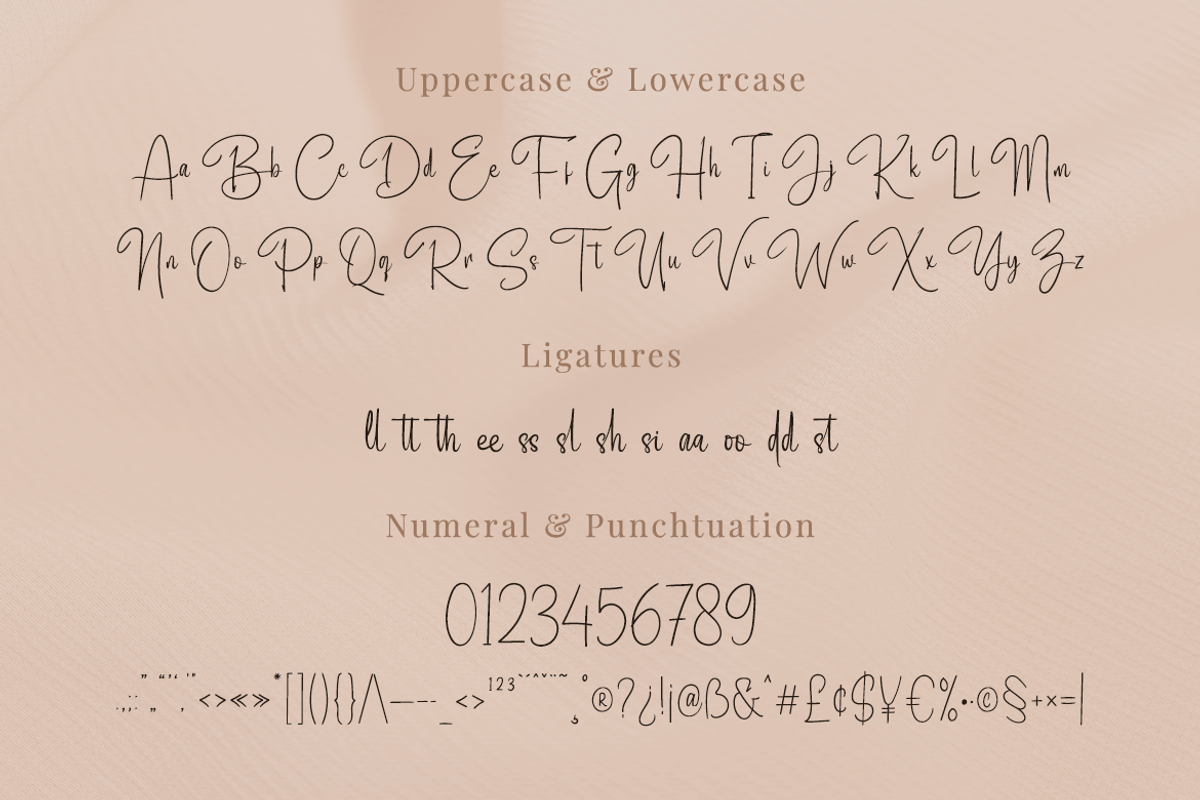 Adigussto, a Script Font by twinstd (Photo 12 of 14)