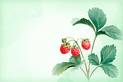Watercolor berries kit, a Food Illustration by Sundra (Thumbnail 11 of 11)