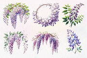 Wisteria Floral Garden Clipart, an Illustration by Dream Creation (Thumbnail 2 of 7)