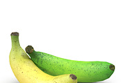 Bananas, a Food & Drink 3D Model by AndrewWhite (Thumbnail 5 of 11)