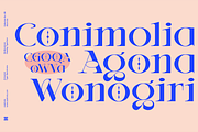 AMOVAND, a Serif Font by Bagerich Type Foundry (Thumbnail 9 of 15)