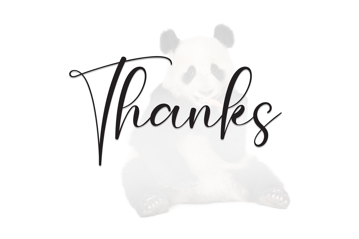 Panda | Script Font, a Handwritten Font by Scratchones (Photo 9 of 9)