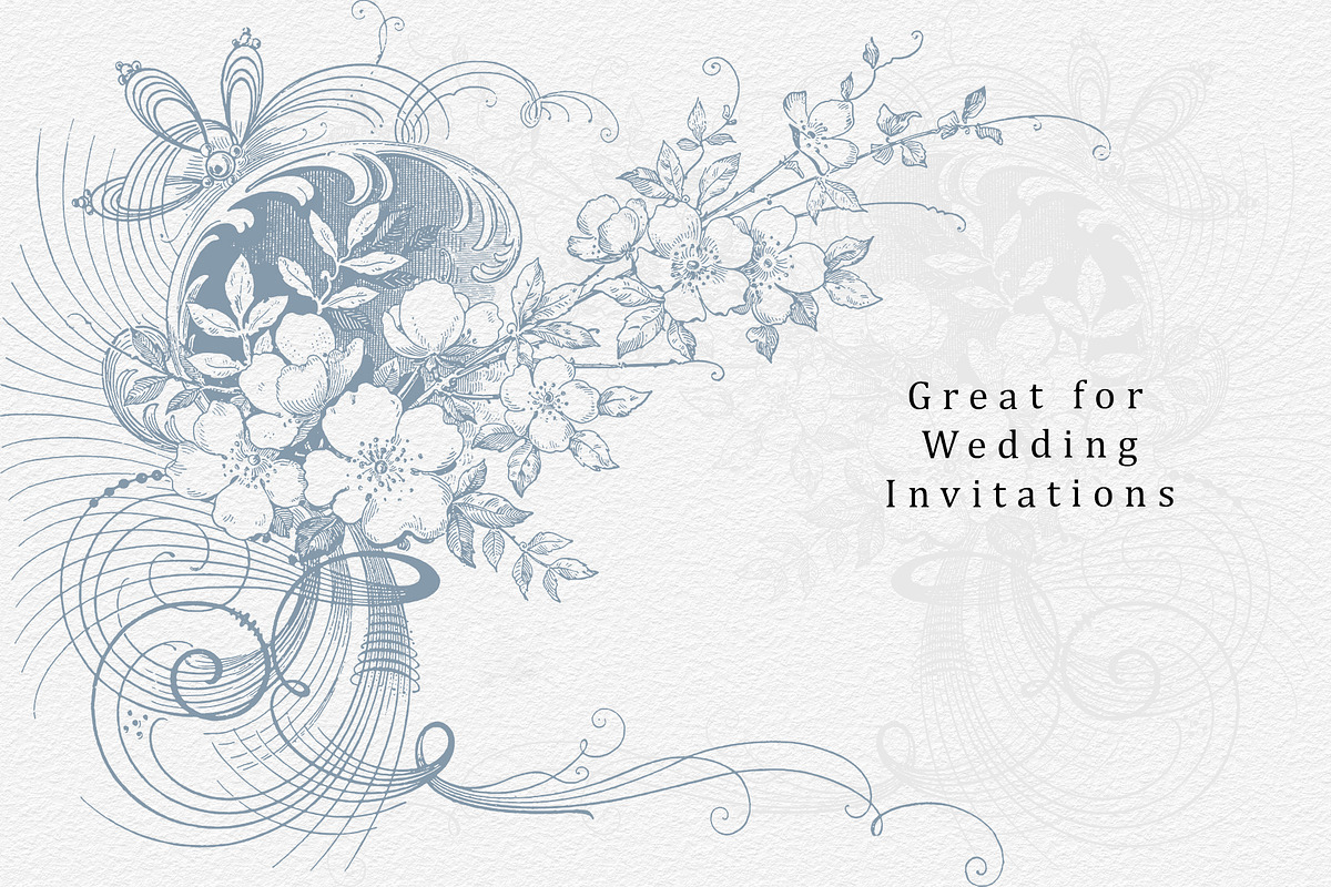 Procreate Decorative Borders, a Brush Add-On by AW Studios (Photo 2 of 7)