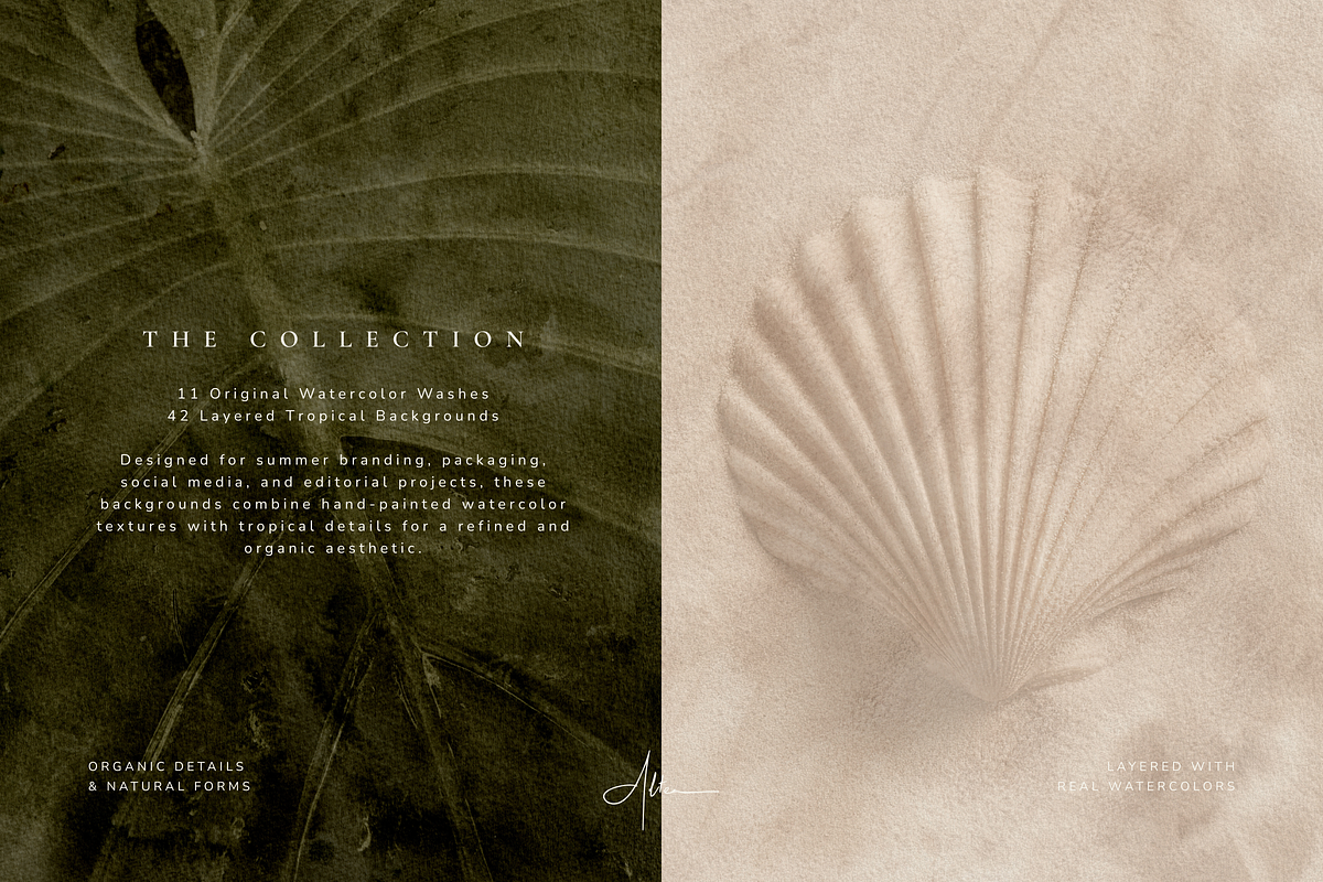 Organic Textured Backgrounds, a Background Graphic by Altea Design Studio (Photo 5 of 20)