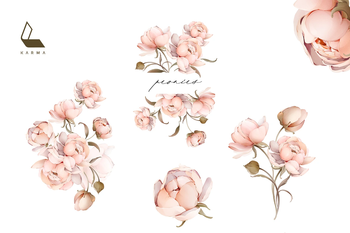 1K+ Belle Watercolor Floral Bundle, an Illustration by Karma (Photo 45 of 54)