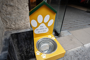 Dog water station with paw design for pets to refresh, a Photo by AS photostudio