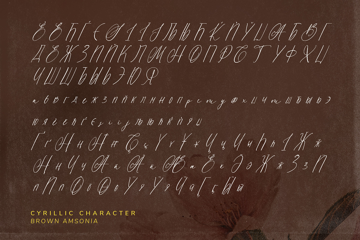 Brown Amsonia, a Script Font by Nathatype (Photo 8 of 10)