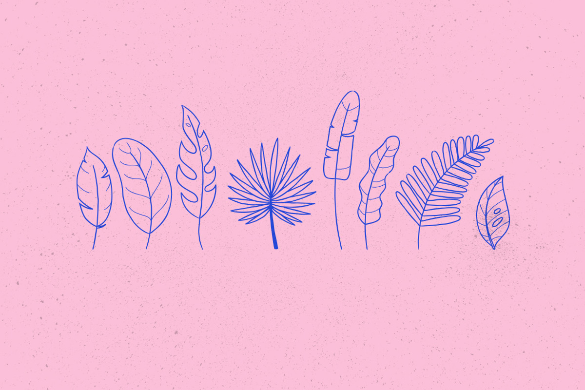 Greenhouse Tropical Flowers & Leaves, an Illustration by Elevens (Photo 6 of 8)