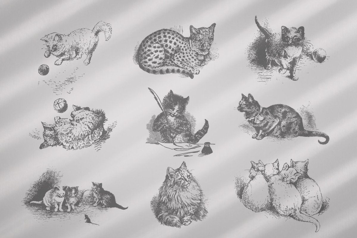 Cats Vector Set, an Illustration by Retro Machine (Photo 10 of 21)