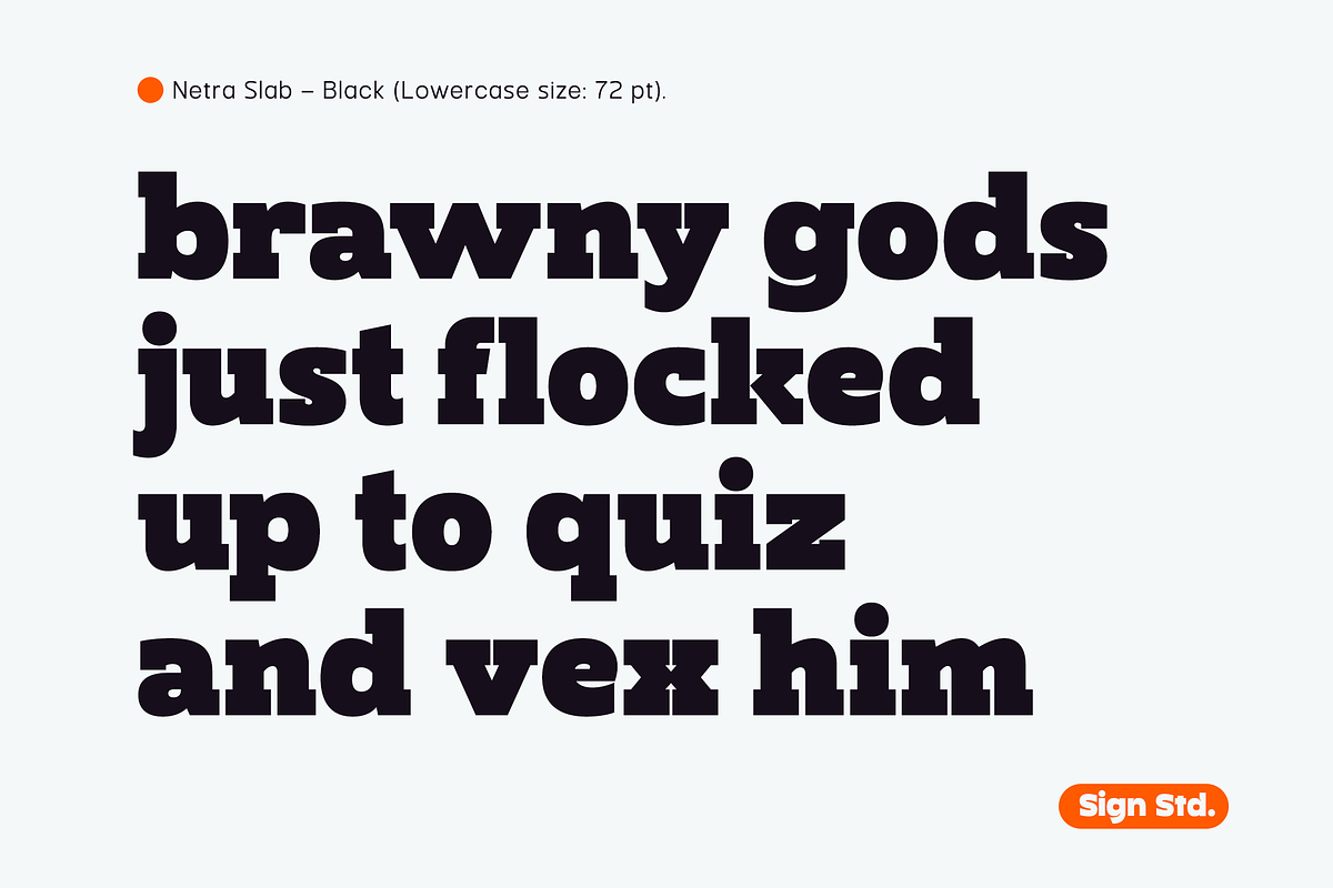 Netra Slab - Black Style, a Slab Serif Font by Sign Studio (Photo 5 of 9)