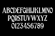 Alimento, a Serif Font by Wasabib Studio (Thumbnail 4 of 7)