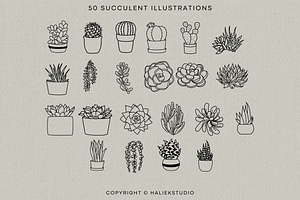 Succulent Illustrations SVG Graphics