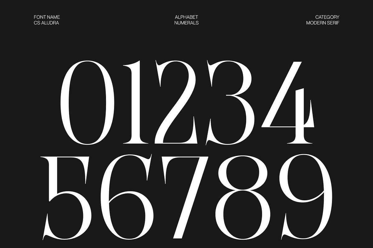 CS Aludra – Modern Serif Font, a Serif Font by Craft Supply Co. (Photo 6 of 8)