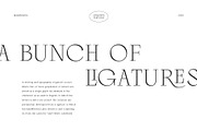 Palmire - Modern Serif Typeface, a Serif Font by Masanis (Thumbnail 13 of 17)