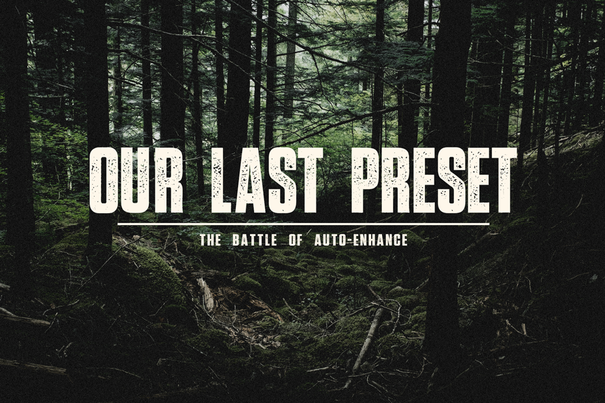 Prevalent - Textured Sans Serif, a Font by The Branded Quotes (Photo 4 of 4)