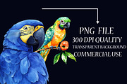 Watercolor Tropical Parrots Clipart, an Illustration by Libby Wishes (Thumbnail 5 of 6)