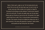 New York Bird Store, a Sans Serif Font by Komet & Flicker (Thumbnail 11 of 13)