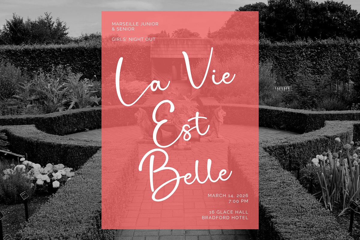 Angelline a Chic Handwritten Font, a Script Font by Basnistudio (Photo 9 of 12)