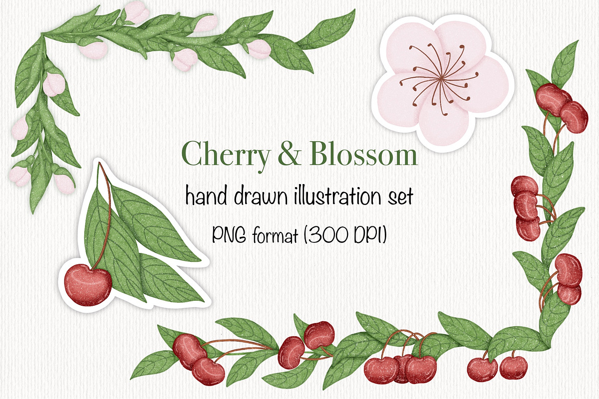 Cherry & Blossom, a Seasonal Illustration by Iryna Mel (Photo 1 of 10)
