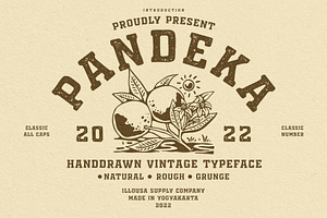 Vintage Font - Pandeka Typeface