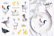 Charming Rustic Watercolors, an Animal Illustration by Eva Katerina (Thumbnail 3 of 15)