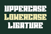 Sport Sobenor Brush, a Handwritten Font by QR Design Studio (Thumbnail 2 of 8)