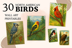 30 North American Birds Wall Art PNG, an Animal Illustration by Image for Sale