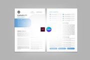Capability Statement Templates, a Stationery Template by Design Zone (Thumbnail 7 of 7)