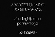 Shoreline - Elegant & Classic Duo, a Serif Font by Misha Sova (Thumbnail 13 of 15)