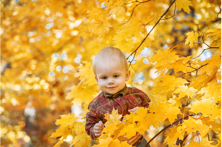 Little kid boy in the park on autumn, a Nature Photo by yanadjana