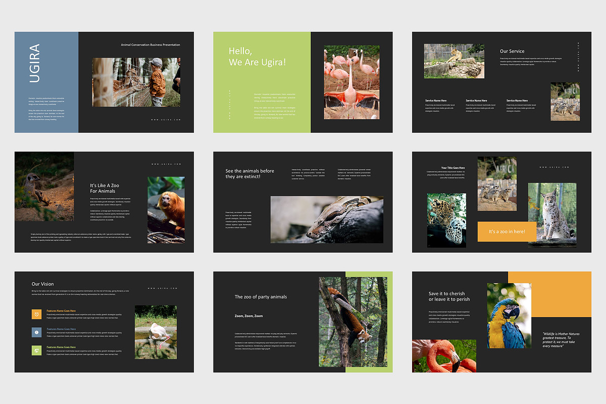 Ugira : Wildlife Care Google Slides, a Presentation Template by Punkl Camp (Photo 6 of 9)